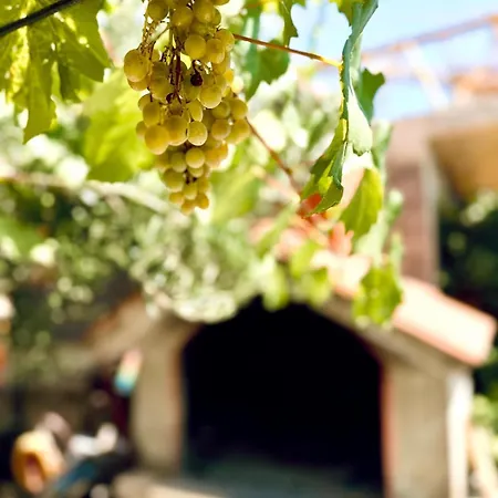 Charming Carmen Apartament *